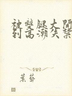 被双腿大开玩弄到高潮失禁