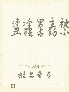 清冷男主被老肥丑强占的小说叫什么封面