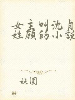 女主叫沈月男主姓顾的小说