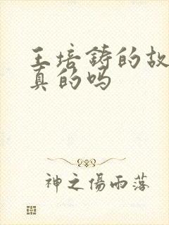 王培铸的故事是真的吗