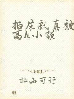 拍床戏真被肉h高h小说