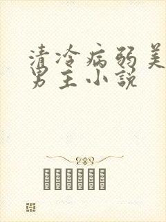 清冷病弱美人双男主小说