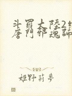 斗罗大陆2绝世唐门邪魂师封面