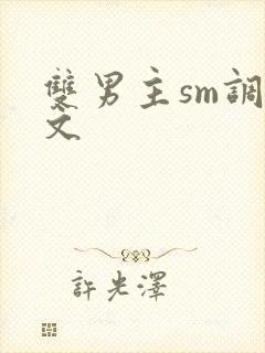 双男主sm调教文封面