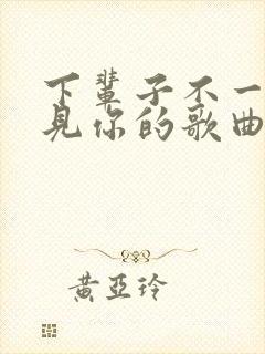 下辈子不一定遇见你的歌曲原唱