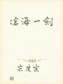 沧海一剑封面