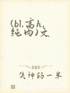 (bl,高h,纯肉)文封面
