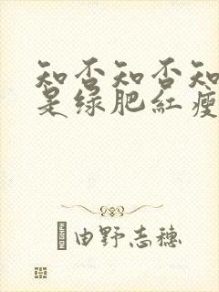 知否知否知否应是绿肥红瘦高清在线观看