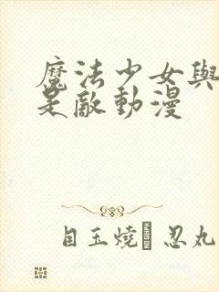 魔法少女与恶曾是敌动漫