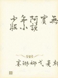 少年阿宾无删减版小说