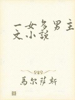 一女多男主的爽文小说