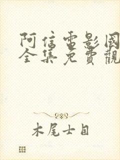 阿信电影国语版全集免费观看封面