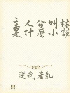 主人公叫林峰的是什么小说