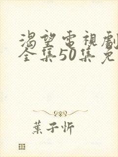 渴望电视剧高清全集50集免费观看