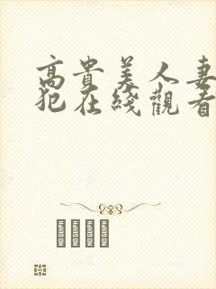 高贵美人妻被侵犯在线观看