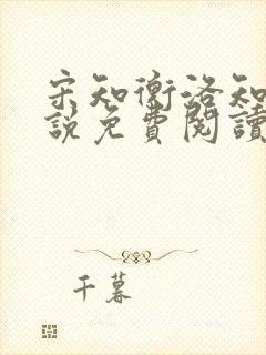 宋知衡洛知予小说免费阅读最新章节