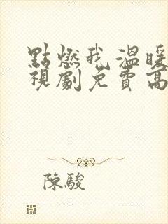 点燃我温暖你电视剧免费高清观看