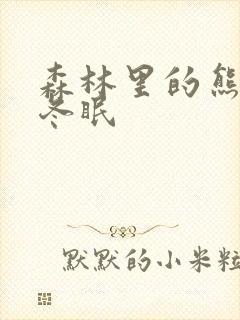 森林里的熊先生冬眠