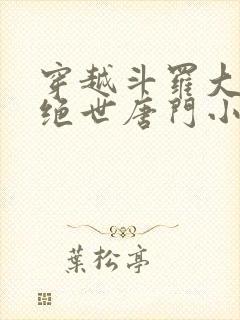 穿越斗罗大陆2绝世唐门小说