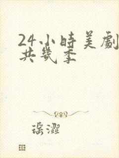 24小时美剧一共几季