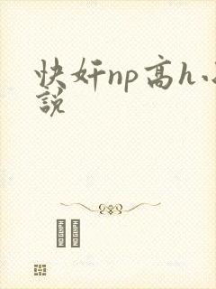 快奸np高h小说