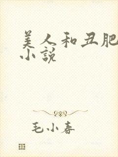 美人和丑肥老的小说