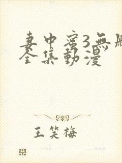 妻中蜜3无删减全集动漫封面
