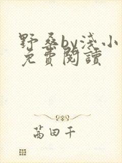 野桑by浅小说免费阅读