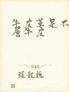 牛皮革是不是头层牛皮