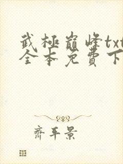 武极巅峰txt全本免费下载封面