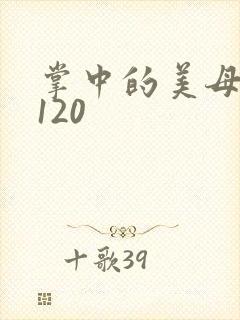 掌中的美母版主120封面