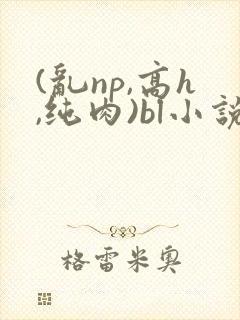 (乱np,高h,纯肉)bl小说
