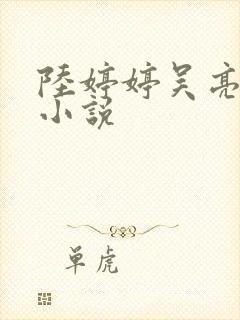 陆婷婷吴亮吴刚小说封面