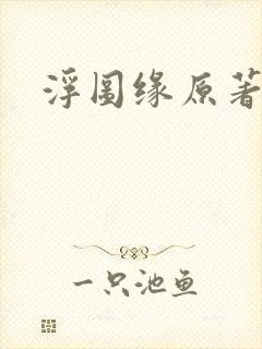 浮图缘原著小说