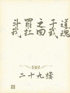 斗罗之千道流把我扛回武魂殿