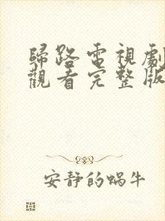 归路电视剧免费观看完整版在线观