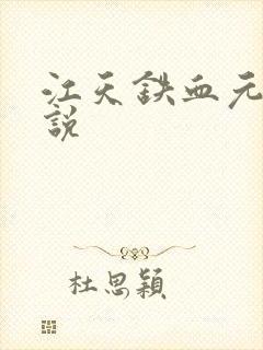 江天铁血元帅小说