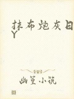 抹布炮灰日记BY