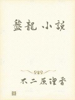 盘龙 小说