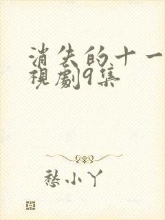 消失的十一层电视剧9集封面