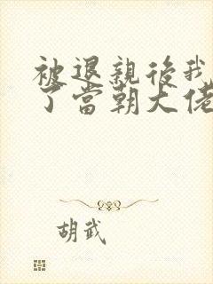 被退亲后我嫁给了当朝大佬小说