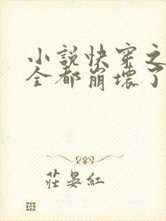 小说快穿之男主全都崩坏了