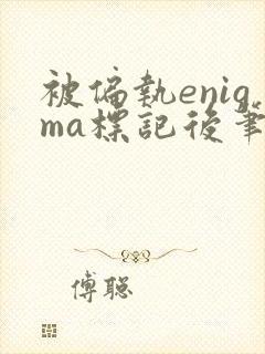 被偏执enigma标记后笔趣阁