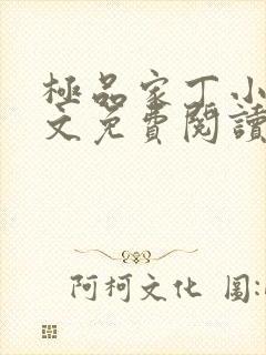 极品家丁小说全文免费阅读笔趣阁