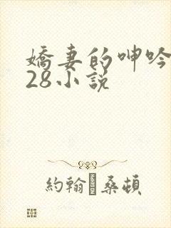 娇妻的呻吟1—28小说