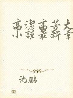 高洁高芳大团圆小说最新章节免费阅读封面