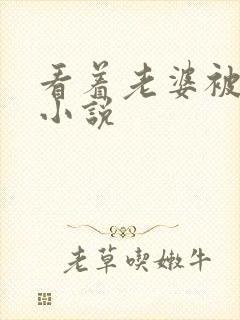 看着老婆被人干小说