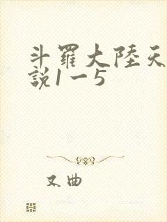 斗罗大陆天狂传说1一5