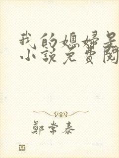 我的媳妇是苏玥小说免费阅读