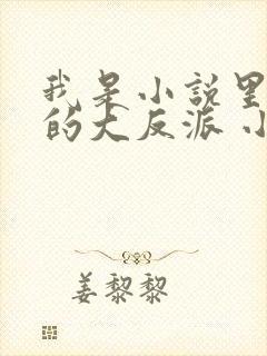 我是小说里共同的大反派 小说